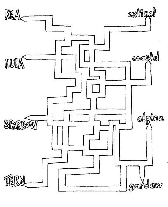 Copy of Maze Joining.jpg